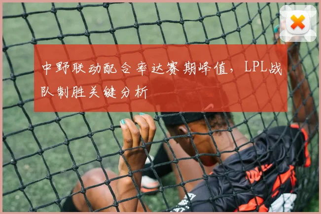 中野联动配合率达赛期峰值，LPL战队制胜关键分析